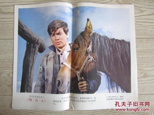 罗汉普顿大学 Art diploma